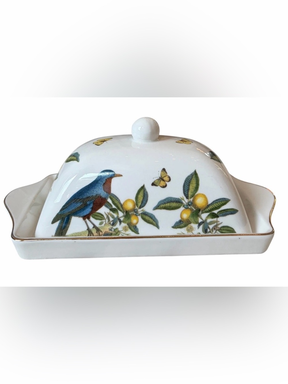 Grace Teaware Butter Dish w/ Lid Floral Bird Butterflies Lemons Porcelain New